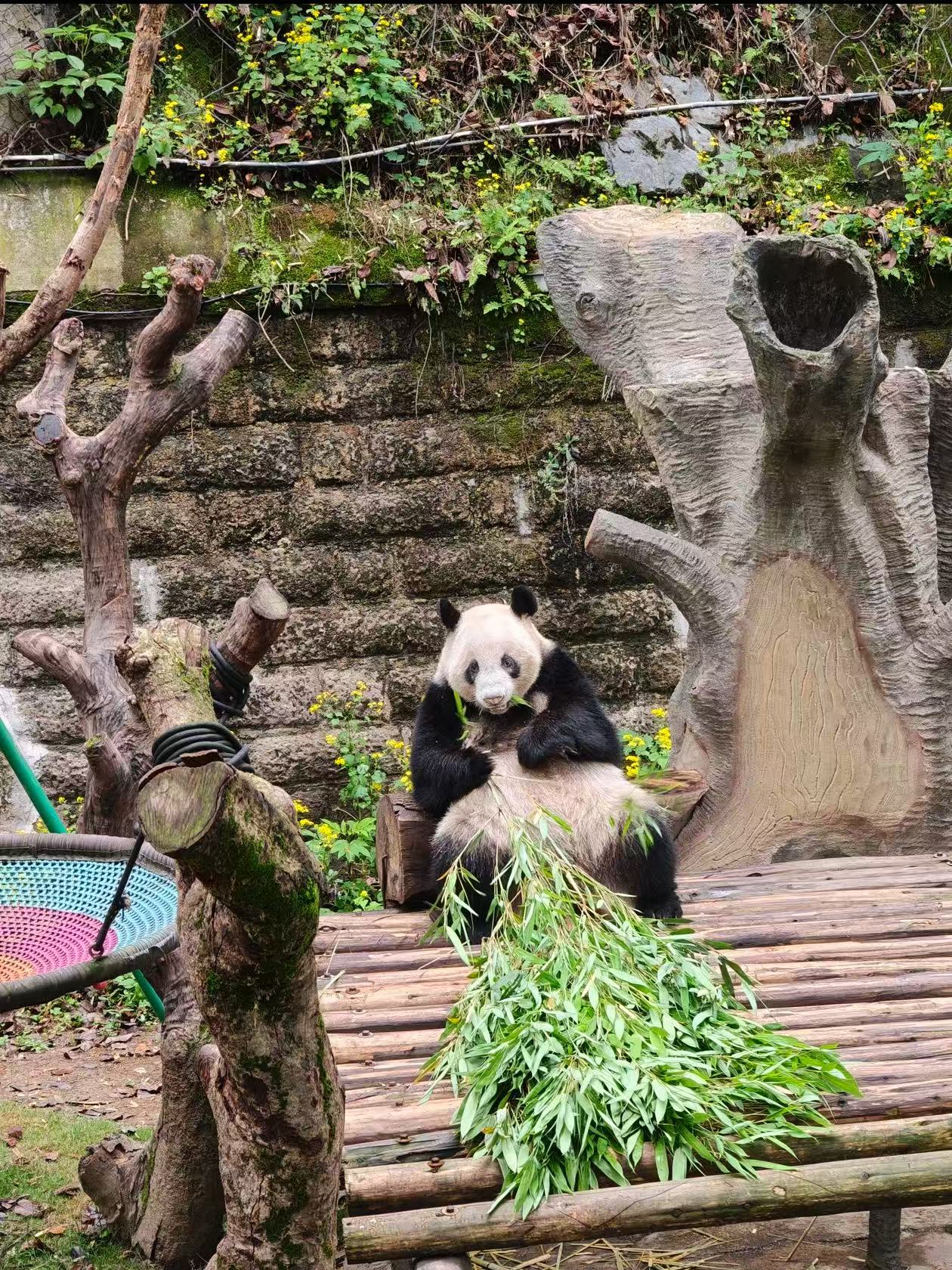 旅行照片 4